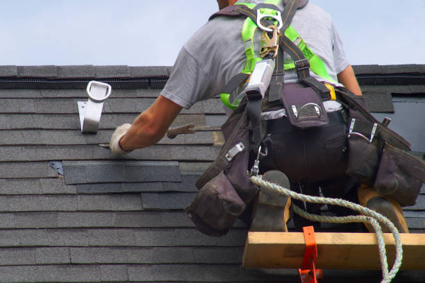 Best Commercial Roofing Services  in Mazon, IL
