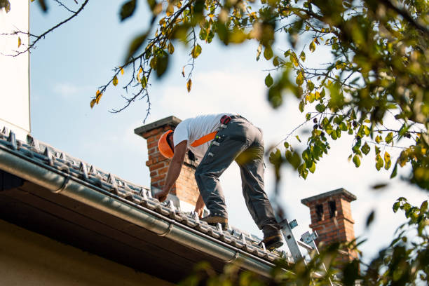 Best Slate Roofing Contractor  in Mazon, IL
