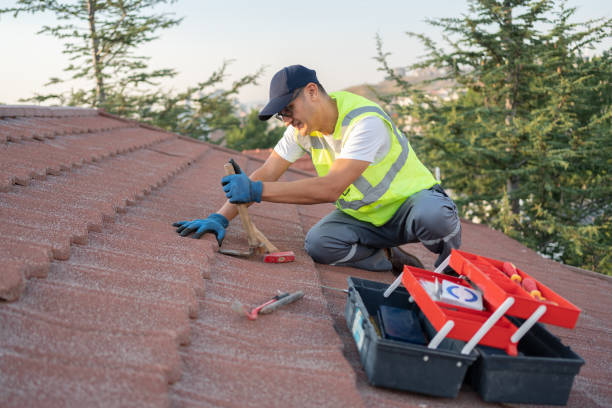 Best Tile Roofing Contractor  in Mazon, IL