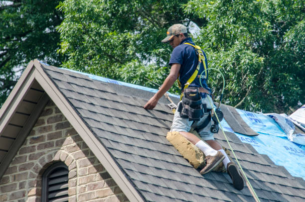 Best Residential Roofing Contractor  in Mazon, IL